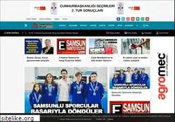 Sites similar to gazetenizolsun.com