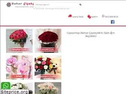 Sites similar to gaziantepcicek.net