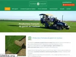 Sites similar to gazon-duguet.fr