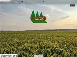 Sites similar to gazonsmichel.ca