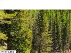 Sites similar to gcoregonlive.com