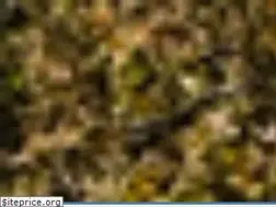 Sites similar to gdanlaw.com