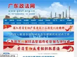 Sites similar to gdzf.org.cn