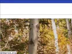 Sites similar to gearhub.ca