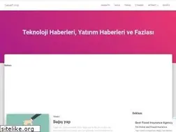 Sites similar to gebzefirma.com
