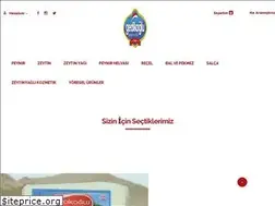 Sites similar to gedikogluezinepeyniri.com