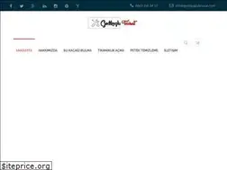 Sites similar to gedikoglutesisat.com