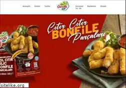 Sites similar to gedikpilic.com
