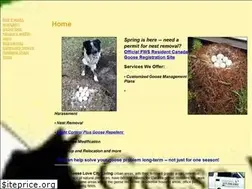 Sites similar to geesewranglersllc.com