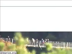 Sites similar to geierlay.de