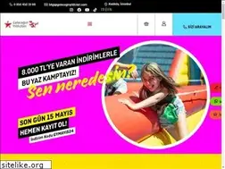 Sites similar to geleceginyildizlari.com