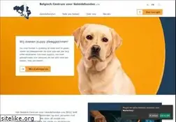Sites similar to geleidehond.be