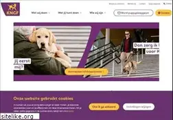 Sites similar to geleidehond.nl