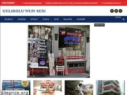 Sites similar to gelibolununsesi.com