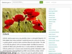 Sites similar to gelincik.gen.tr