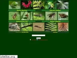 Sites similar to geller-grimm.de