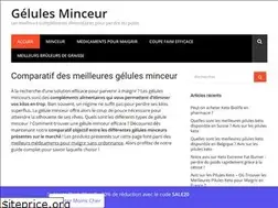 Sites similar to geluleminceur.fr