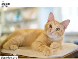 Sites similar to gemcitykitties.org