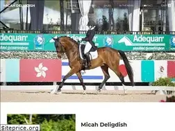 Sites similar to geminidressage.com