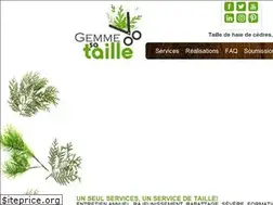 Sites similar to gemmesataille.com