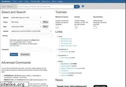 Sites similar to genenetwork.org