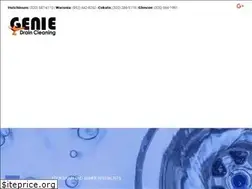 Sites similar to geniedrains.com