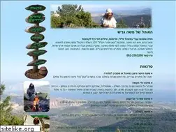 Sites similar to genish.com