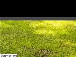 Sites similar to gentlemanathome.com