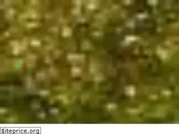 Sites similar to genyx.com.br