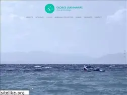 Sites similar to georgegiannimpas.com