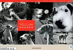 Sites similar to georgesf.com