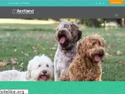 Sites similar to georgiadoodle.com
