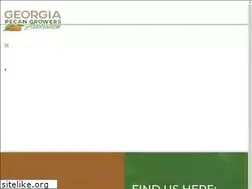 Sites similar to georgiapecan.org