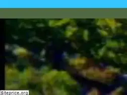 Sites similar to geovilluercas.org
