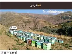 Sites similar to gercekbal.com