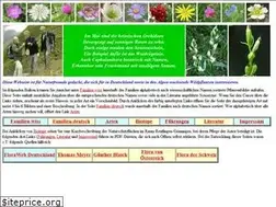 Sites similar to gerhard.nitter.de