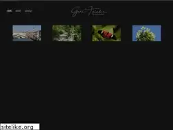 Sites similar to geritrinler.com
