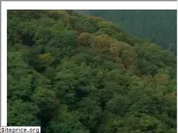 Sites similar to germany-castles.net