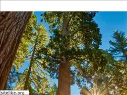 Sites similar to getrelaxed.com