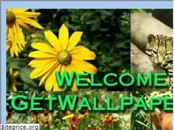 Sites similar to getwallpaper.com