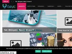 Sites similar to geyic.com