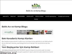 Sites similar to gezginavci.com