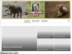 Sites similar to gezginkopek.com