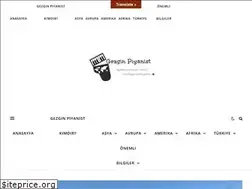 Sites similar to gezginpiyanist.com