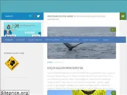 Sites similar to geziyorumoyleysevarim.com