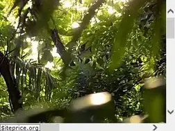 Sites similar to ggfreshflower.com