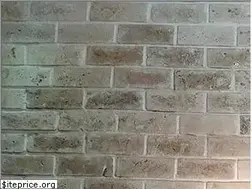 Sites similar to ghajarifood.ir