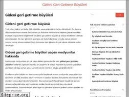 Sites similar to gidenigerigetirmebuyuleri.com