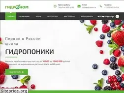 Sites similar to gidronom.ru