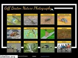 Sites similar to giffbeaton.com